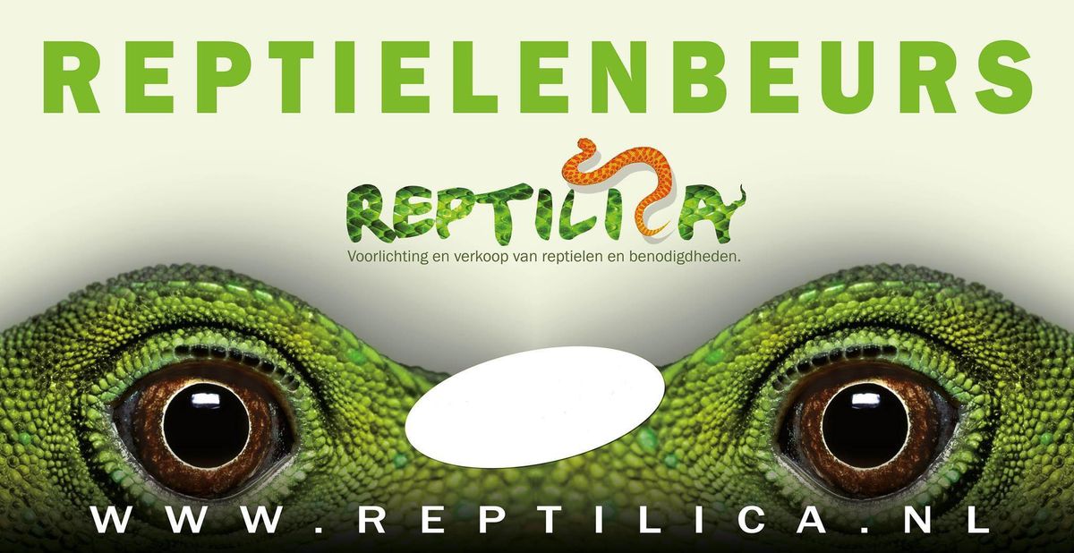 HILVERSUM reptielenbeurs 19 januari 2025