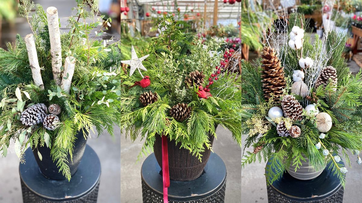 Create a Fresh and Festive Winter Porch Pot (Nov. 16)