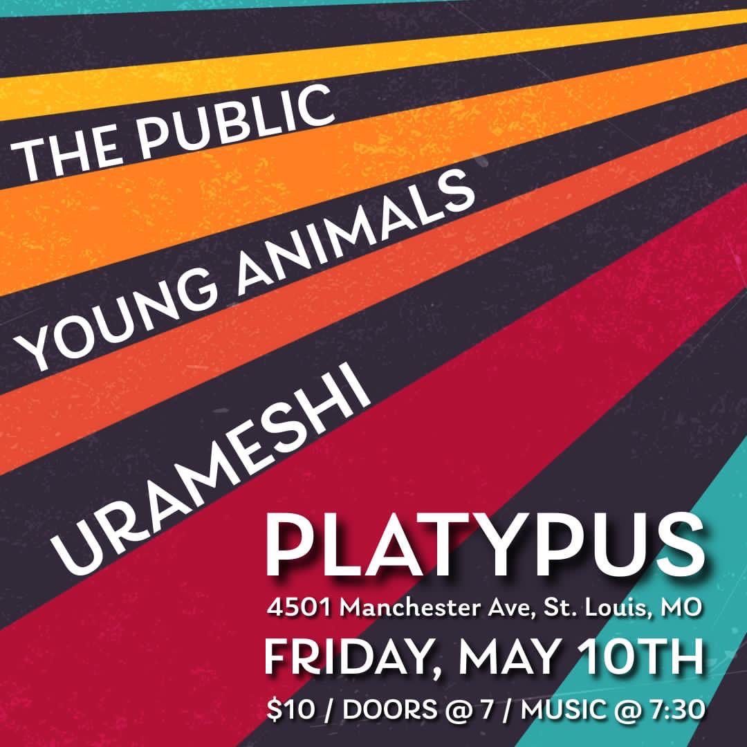 Urameshi (KY), The Public + Young Animals at Platypus