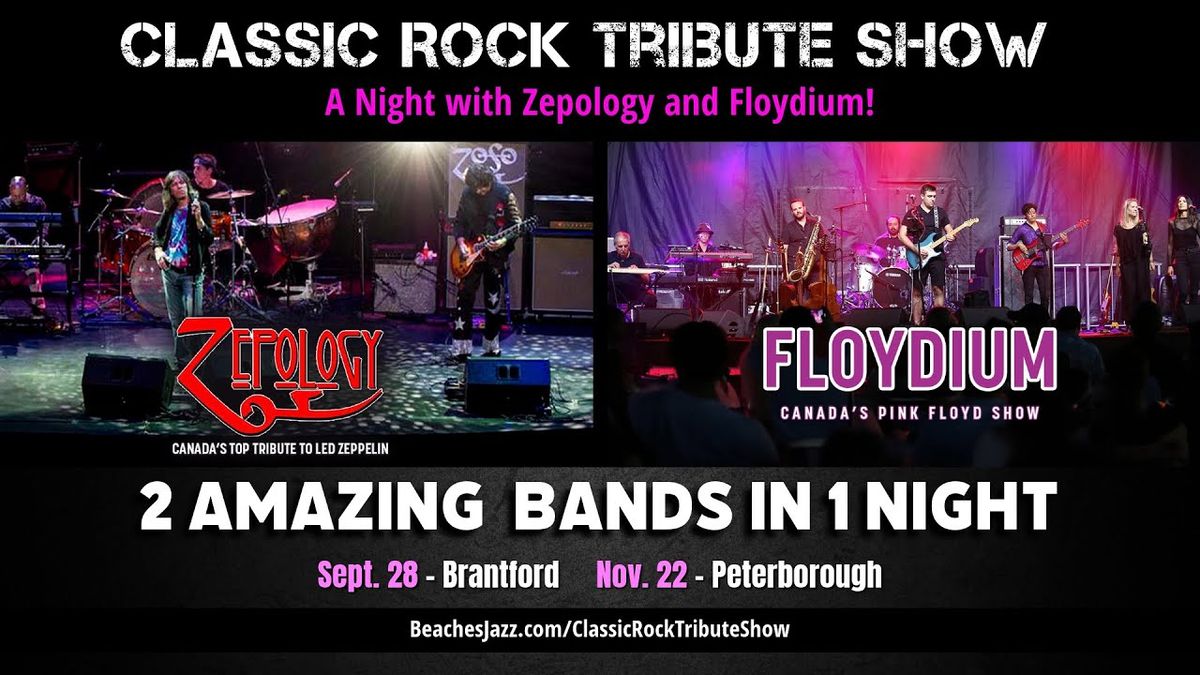 Floydium - Pink Floyd Tribute