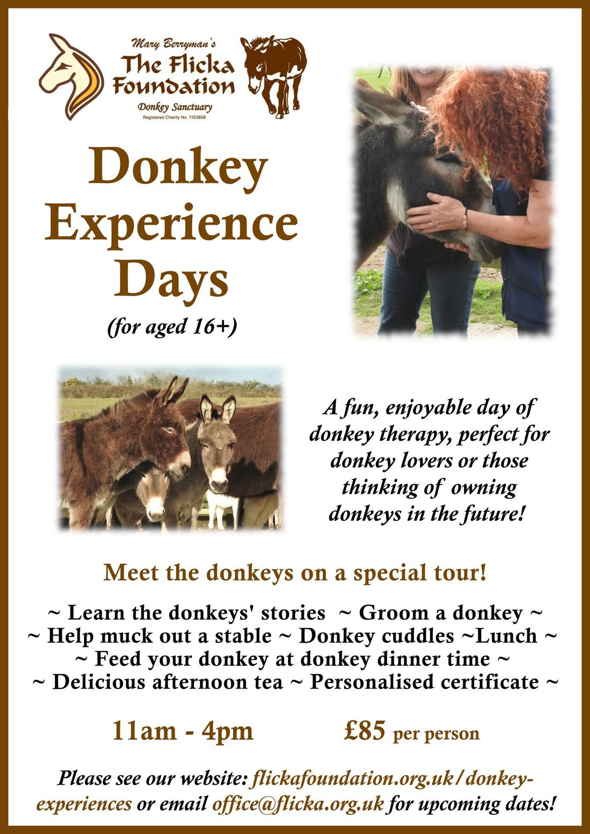 Donkey Experience Day