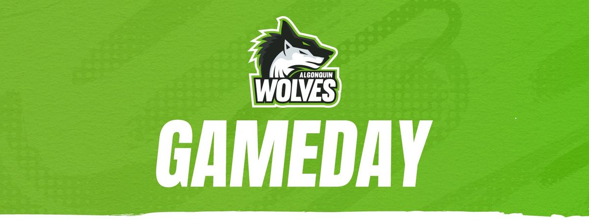 Varsity Volleyball: Algonquin Wolves vs. Durham College Lords