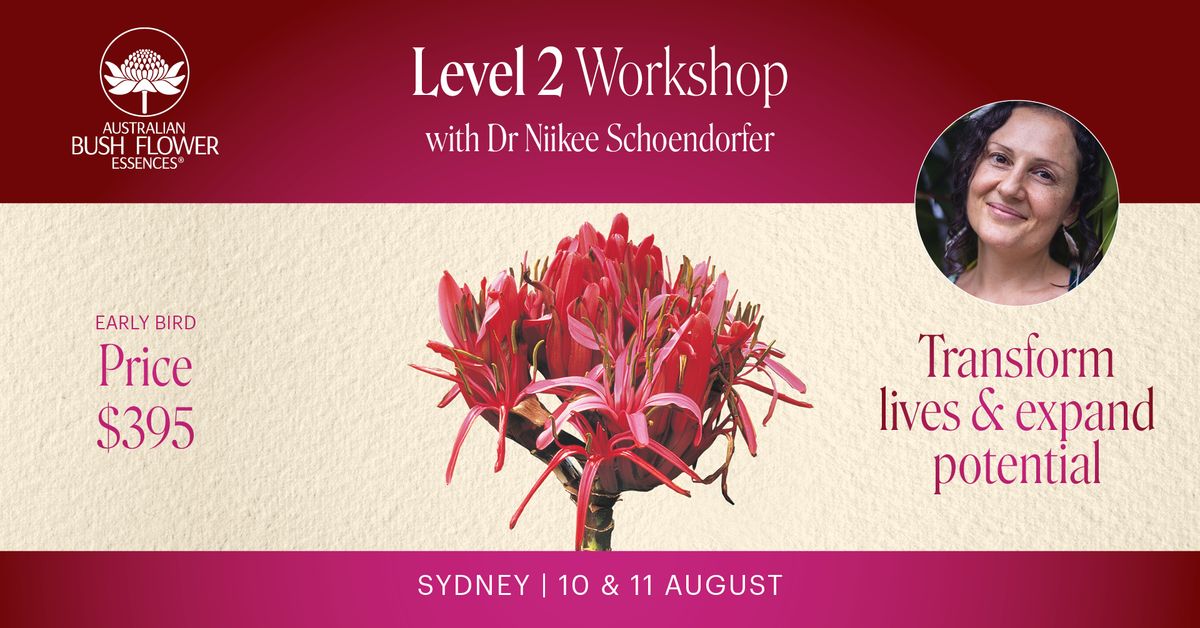 ABFE Level 2 Workshop - Sydney