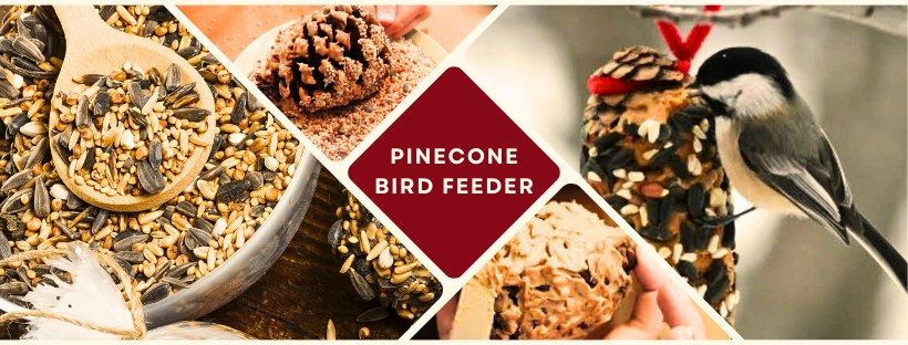 PINECONE BIRD FEEDER