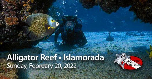 Alligator Reef Dive • Islamorada, Aquatic Ventures, Fort Lauderdale, 20 ...