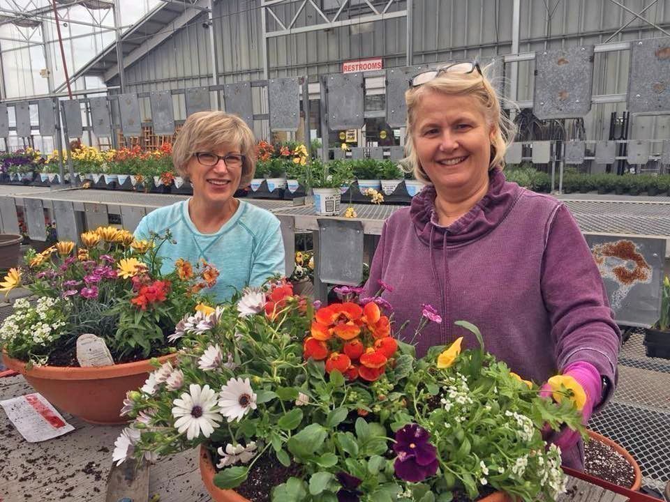 Frost-Free Plants in a Spring Garden Bowl Workshop