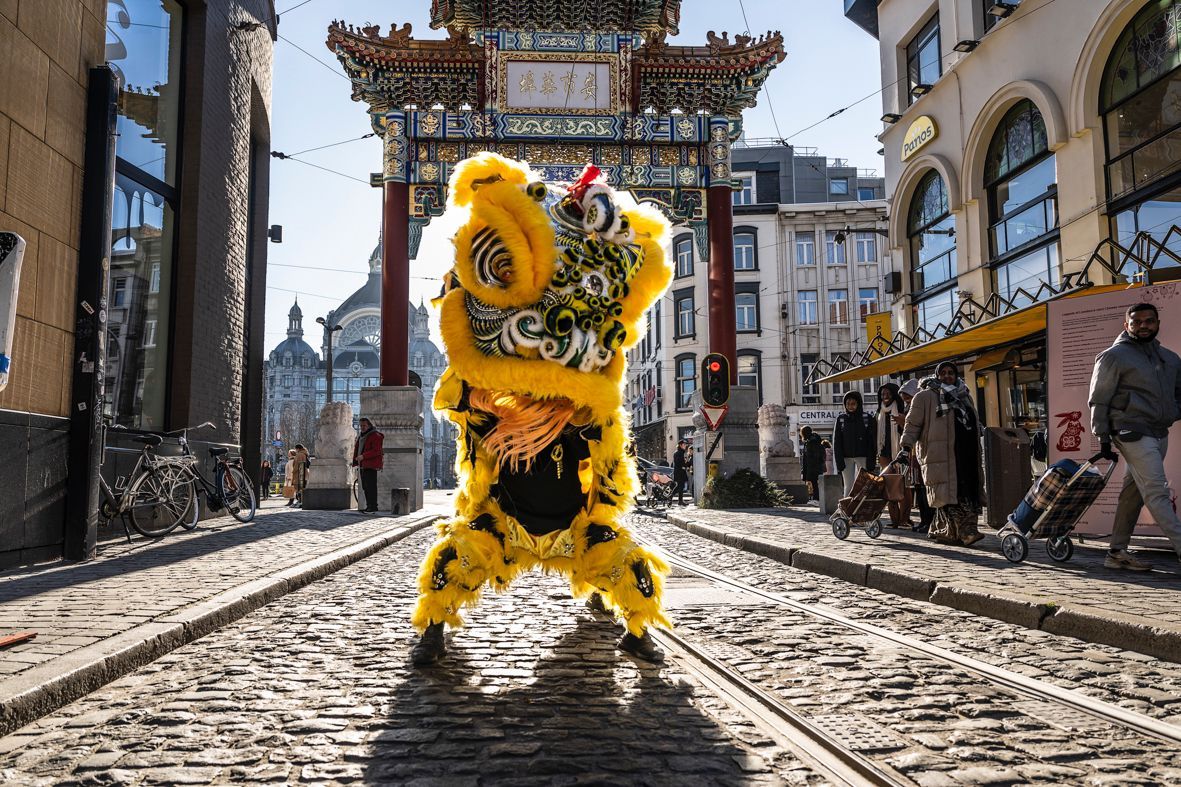 Chinese Newyear Parade & Market -  YEAR OF THE SNAKE