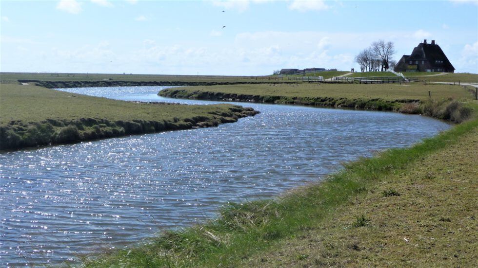 Mein Leben im Fluss \u2013 Workshop Biografisches Schreiben im RuT