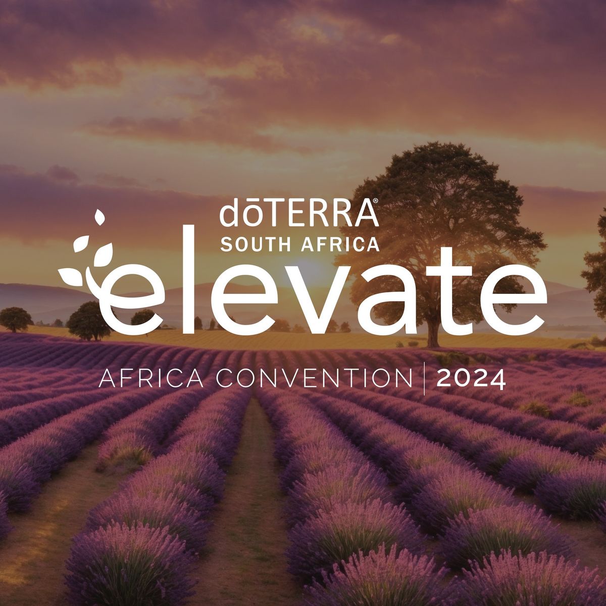 Elevate Africa Convention 