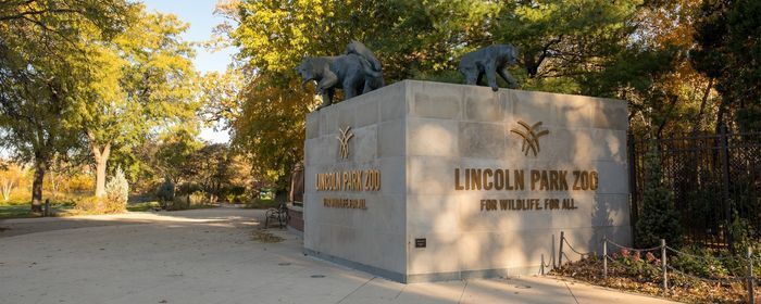 Lincoln Park Zoo Visit