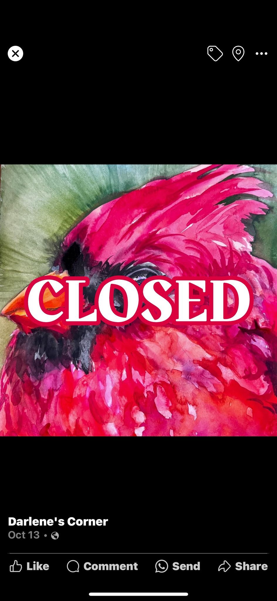 CLOSED ::: COLORFUL CARDINAL :: Watercolor class