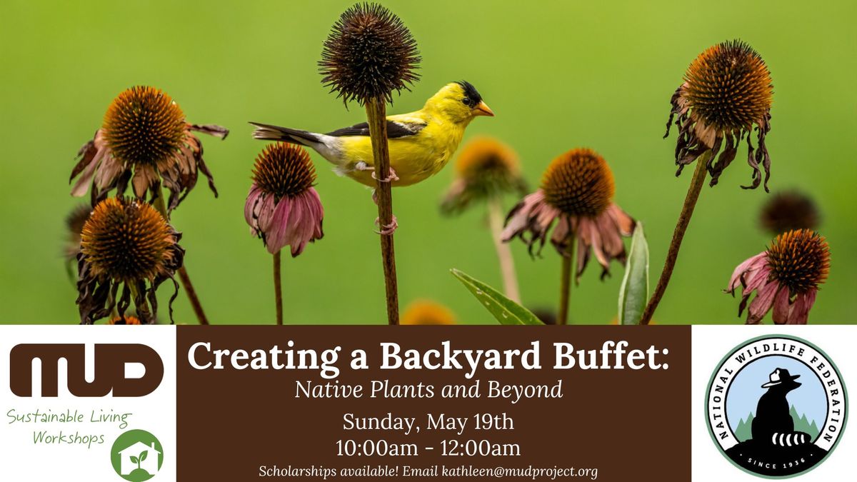 Creating a Backyard Buffet: Native Plants and More