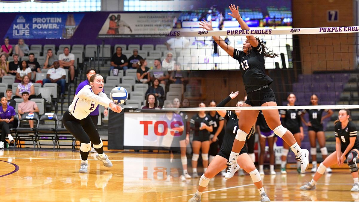 Niagara Purple Eagles at Buffalo Bulls Womens Volleyball