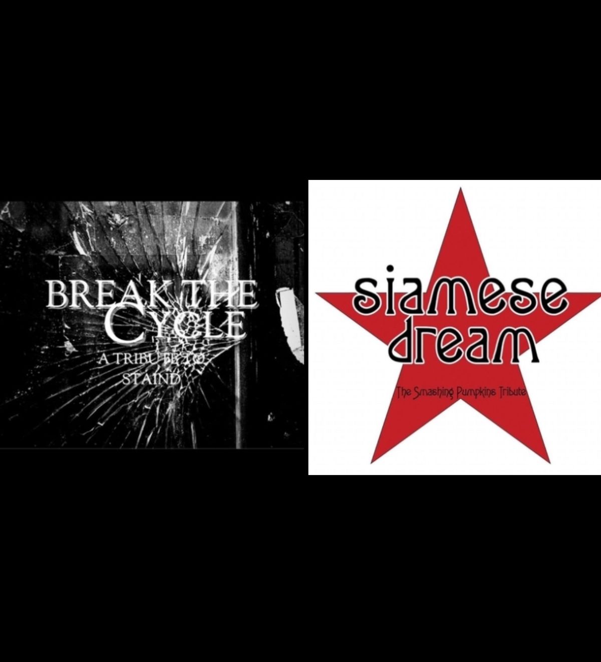 Break the Cycle (Staind Tribute) + Siamese Dream (Smashing Pumpkins Tribute) at Heavy Metal Brewing!