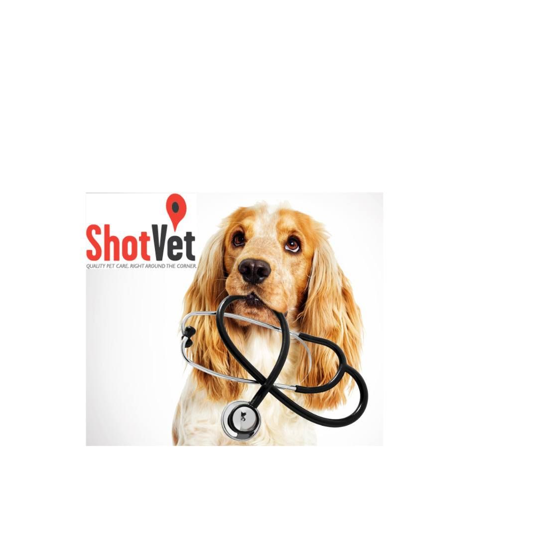 ShotVet Pet Clinics