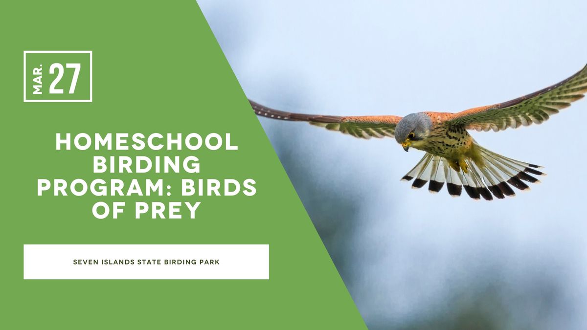 Homeschool Birding Program: Birds of Prey