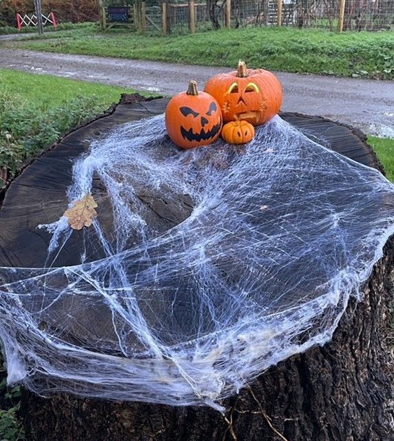 Halloween Spooktacular Open Day