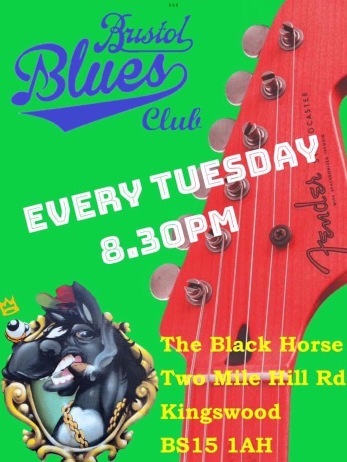 Bristol Blues Club presents Blues Central ??