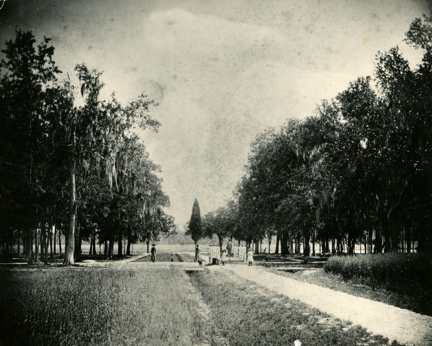 Walking Tour of Drayton Hall\u2019s Landscape in Historical Images