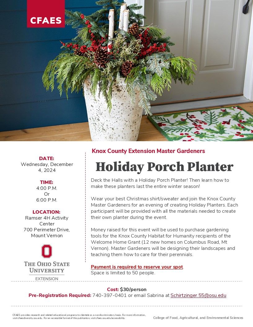 Holiday Porch Planter 