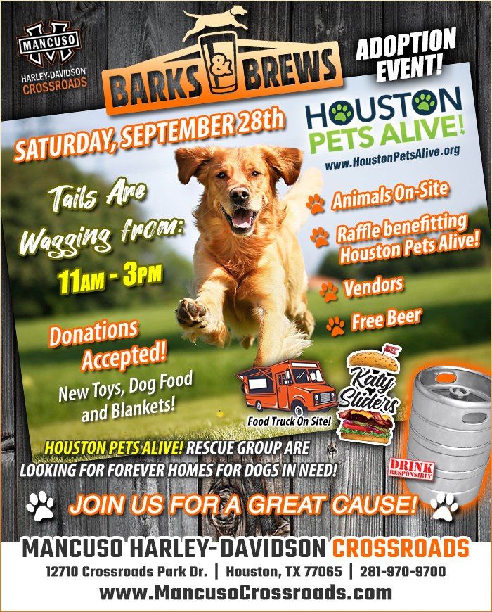 Barks & Brews