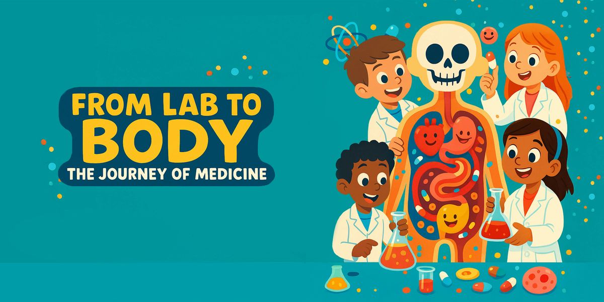 From Lab to Body: The Journey of Medicine