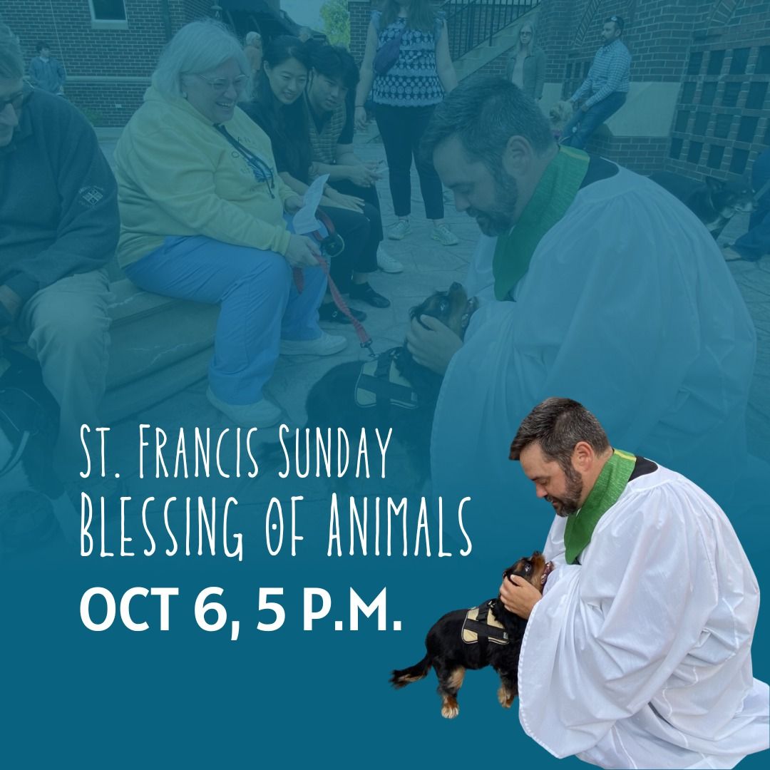 Blessing of Animals