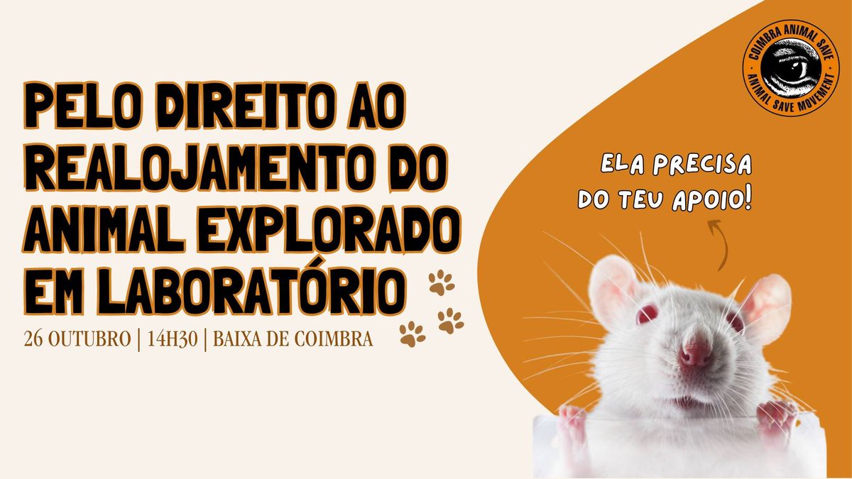 4\u00ba R - Pelo Direito ao Realojamento do animal explorado em laborat\u00f3rio