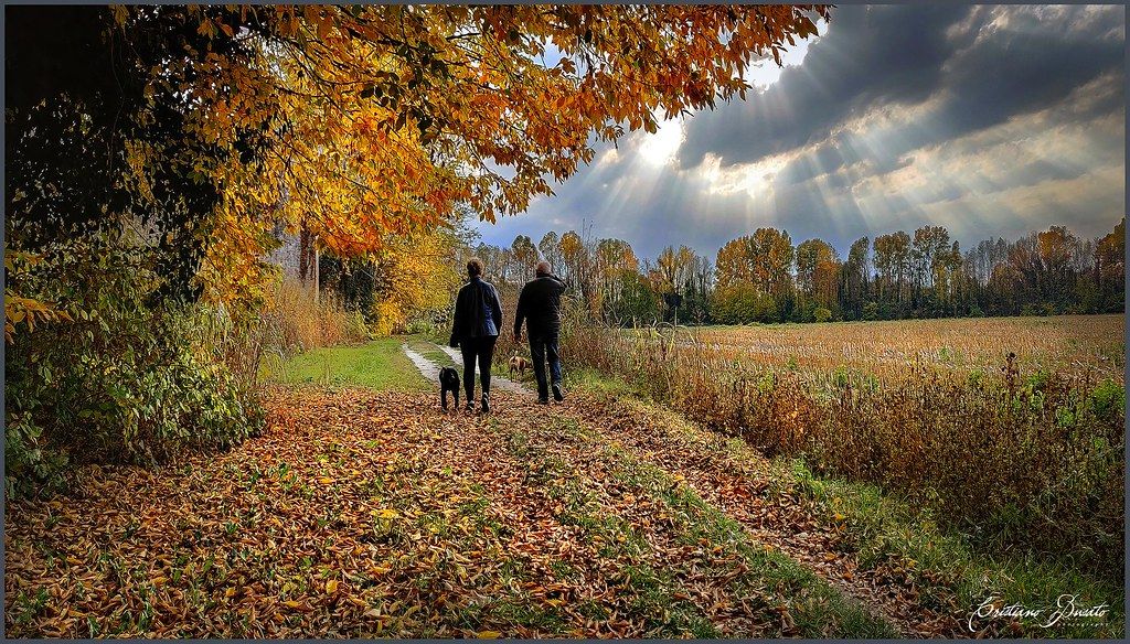 Crookham and Greenham Common Walk