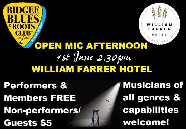 Bidgee Blues & Roots Club June Open Mic Afternoon 