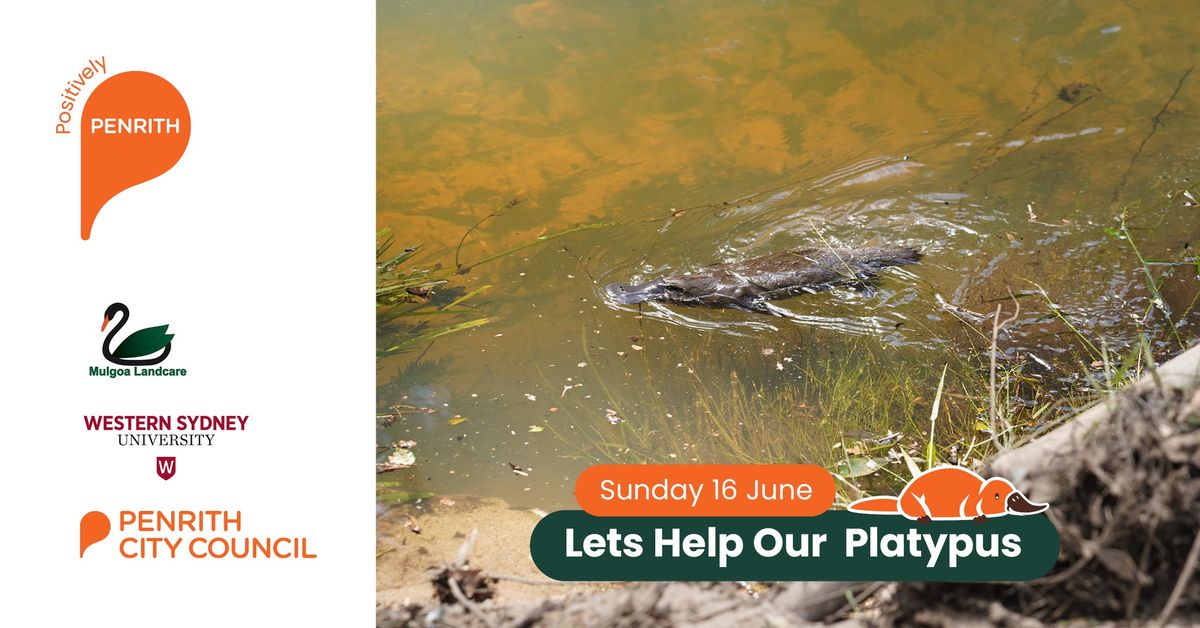 Let\u2019s Help Our Platypus! \u2014 BOOKED OUT