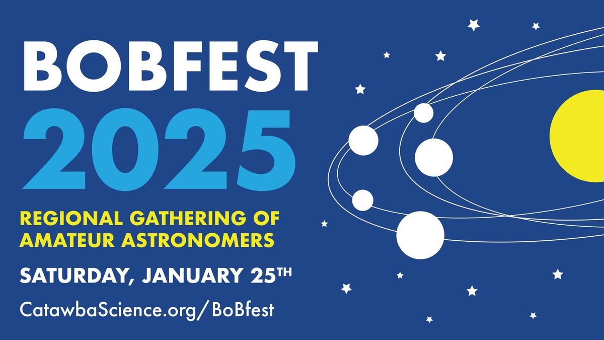 BoBfest 2025