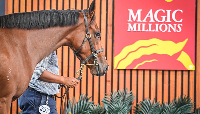 2023 Adelaide Yearling Sale