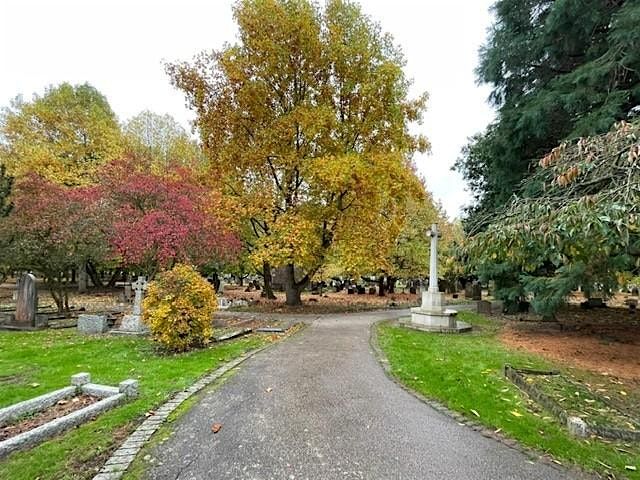 Guided tour of exotic tree collection at Canterbury Cemetery