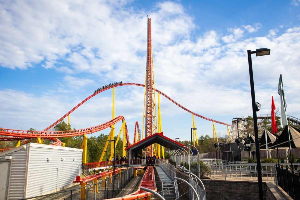 Parking The Slim Kings