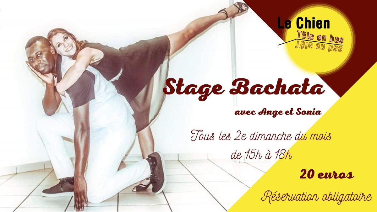 Stage Bachata