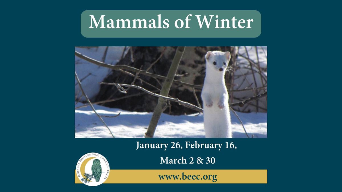 Mammals of Winter