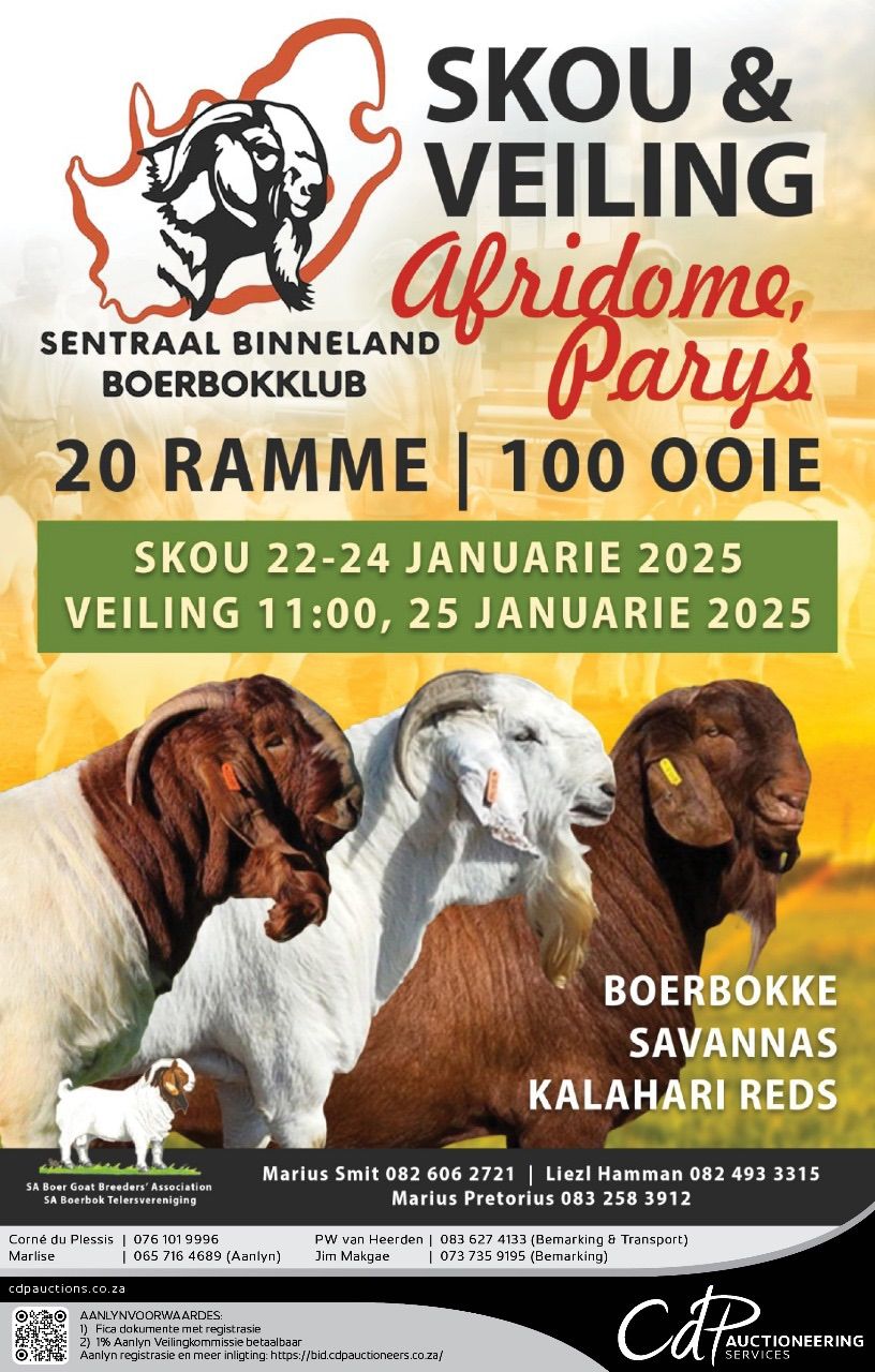 Sentraal Binneland Boerbok Kalahari Red & Savanna Veiling-Auction. 