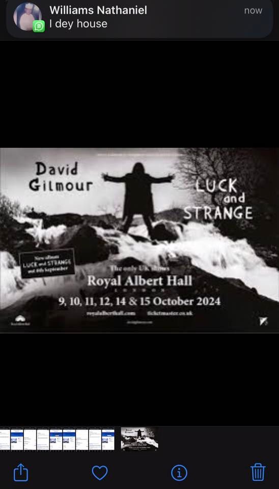 David Gilmour at the Royal Albert Hall 