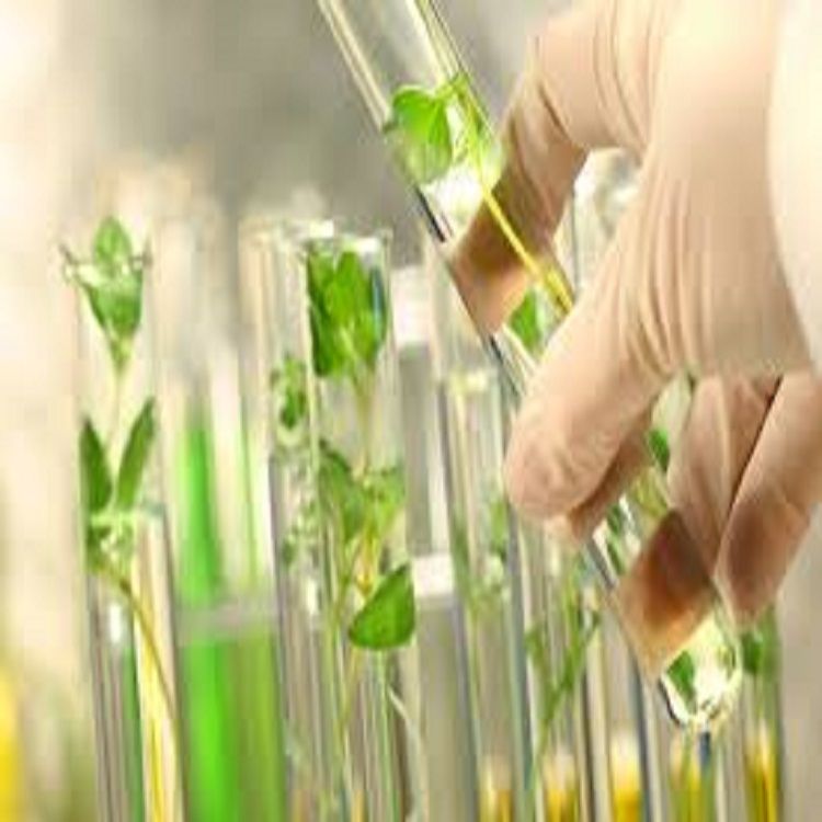 Course: Training  on Crop Biotechnology For Food Security And Nutrition Course Date\tOnsite fees:\tReg