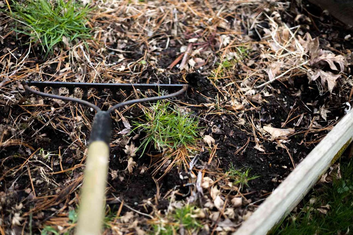 Getting Ready for Spring Gardening