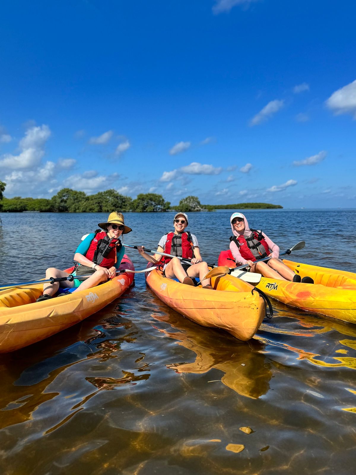 Guided Kayaking Tour: Werner-Boyce Salt Springs State Park + Stilt House Views 