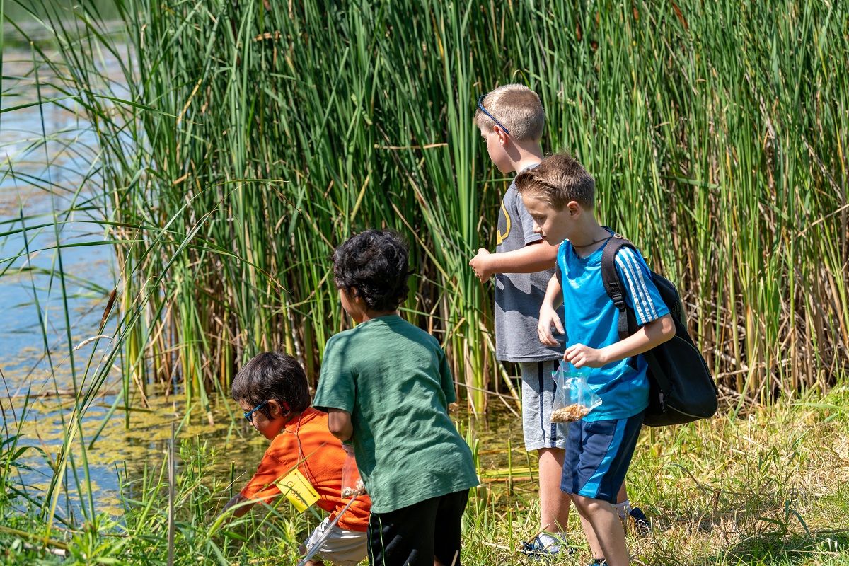 Camp: Water Heroes (Ages 9-12)