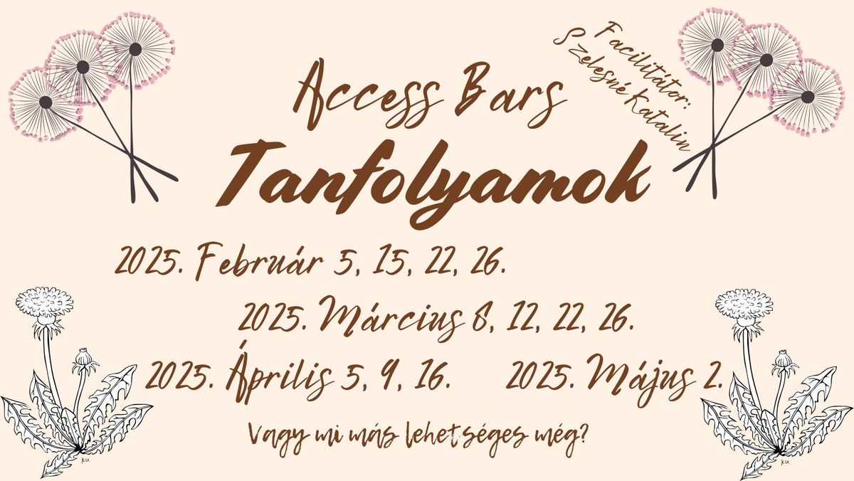 Access Bars Tanfolyam 