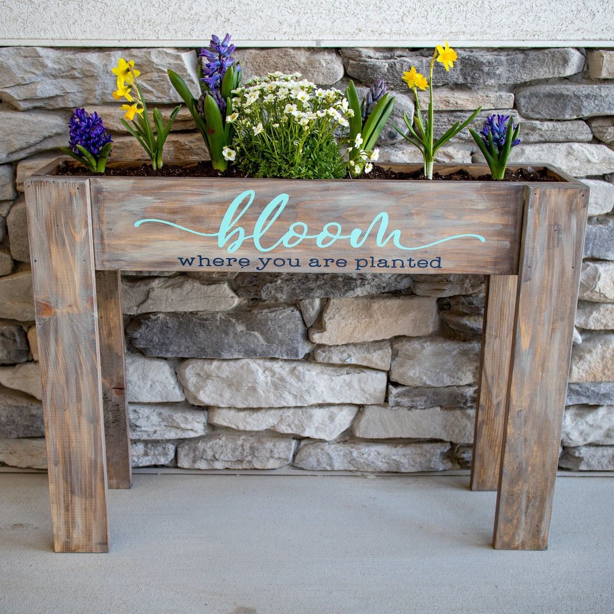 Planters workshop - several styles to choose from!