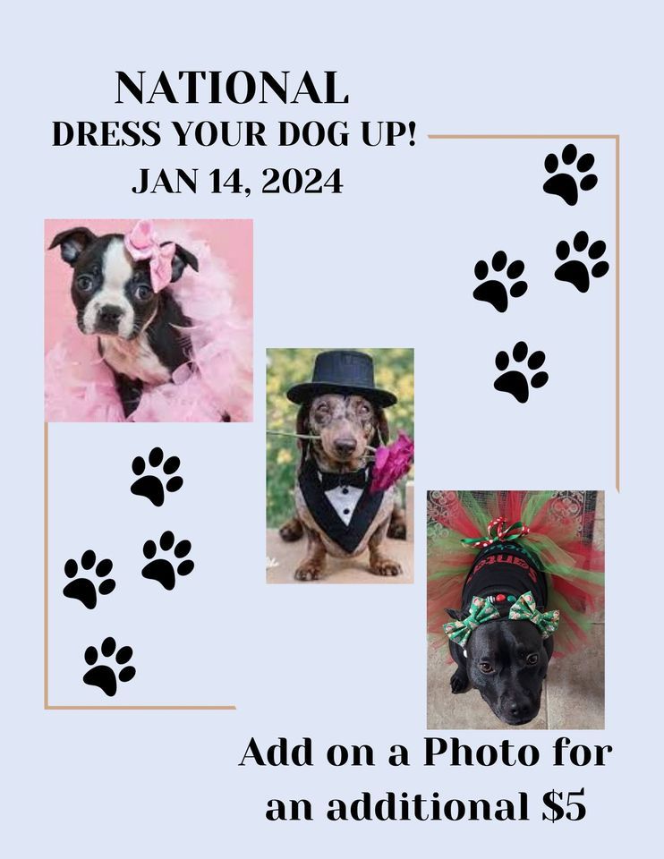 National Dress Your Dog Up Day 2024, City Bark Thornton, 14 January 2024