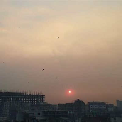 The Third Horizon