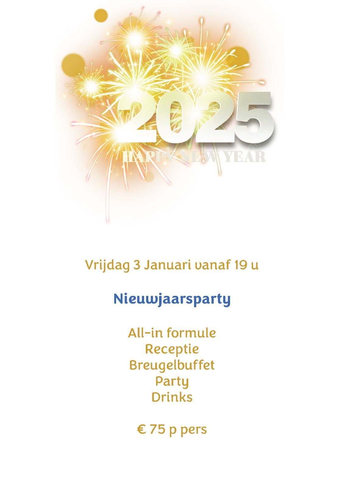 Nieuwjaarsparty