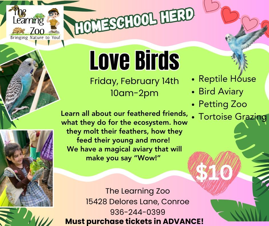 Love Birds - Homeschool Herd