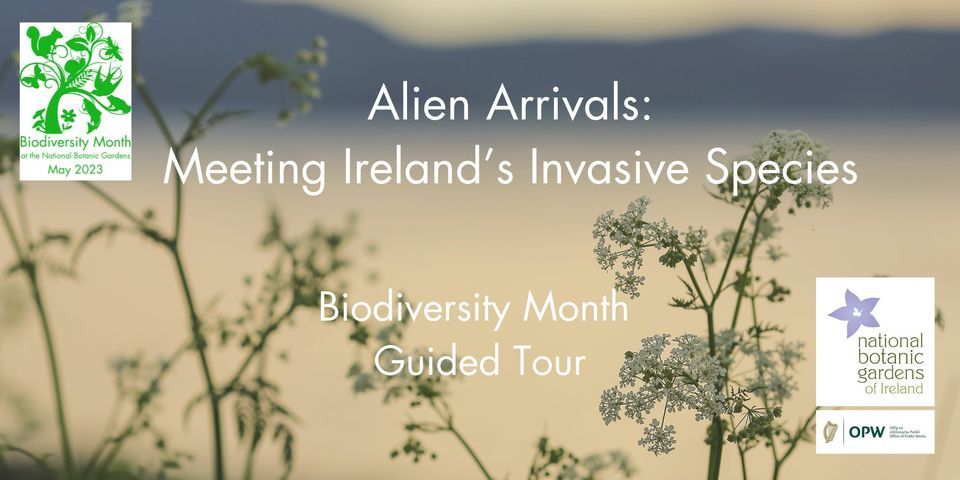 Biodiversity Month Guided Tour: Alien Arrivals - Meeting Irelands ...